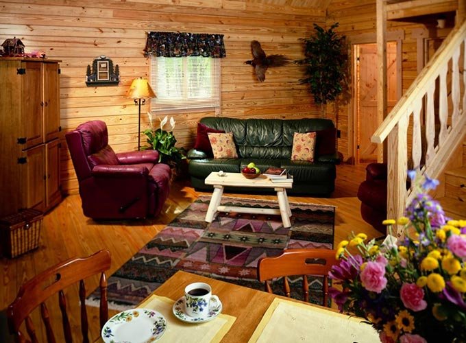 Modern log cabins